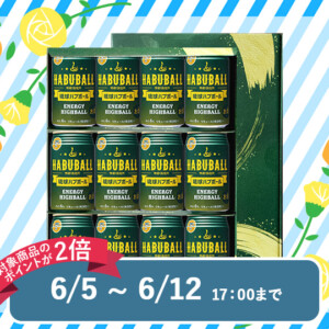 M_04--G_01-04--J_4518989101138