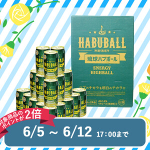 M_04--G_01-05--J_4518989101558